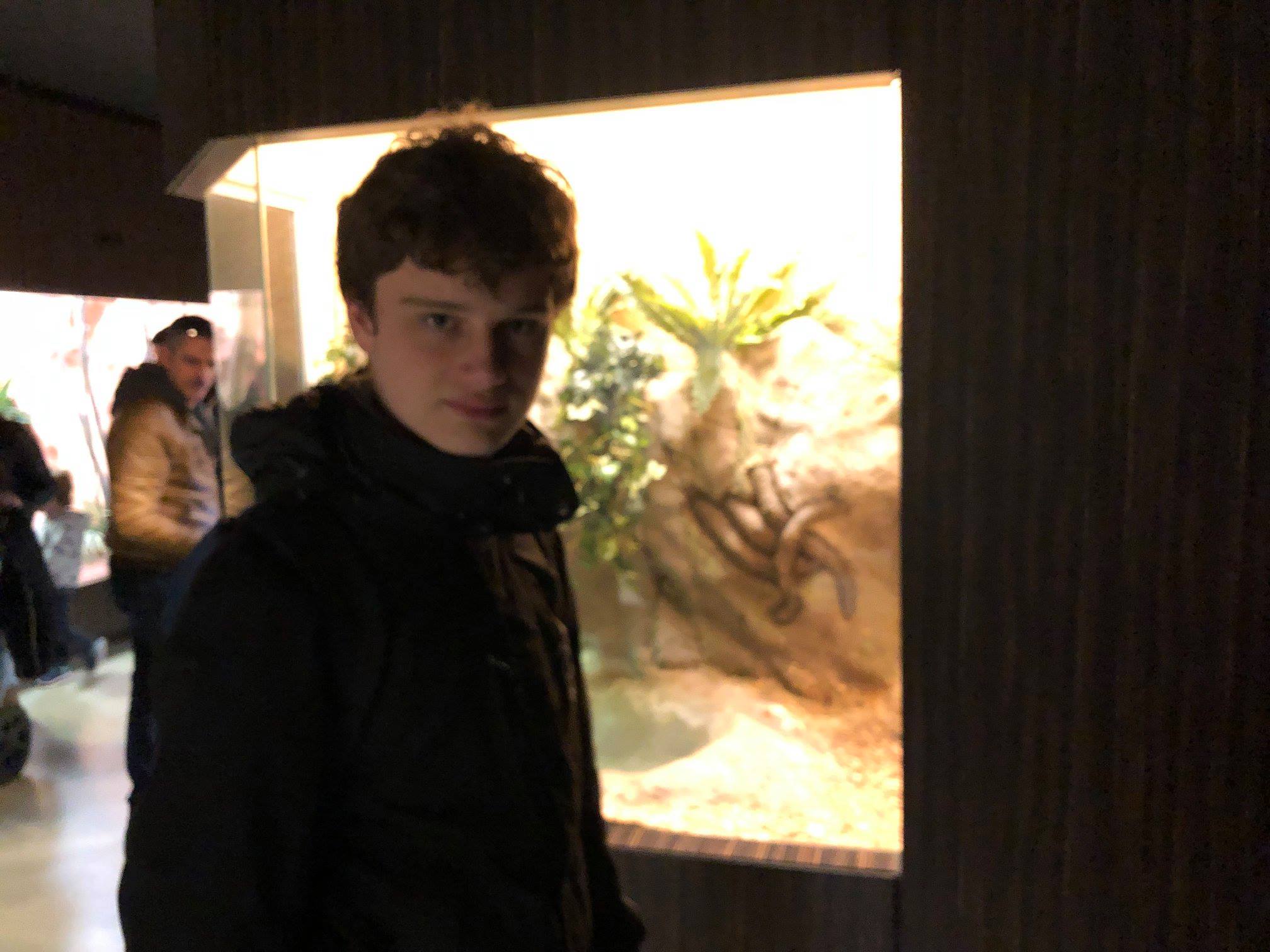 Sint-Martinus den XIIde - Zoo Antwerpen Kapoenen